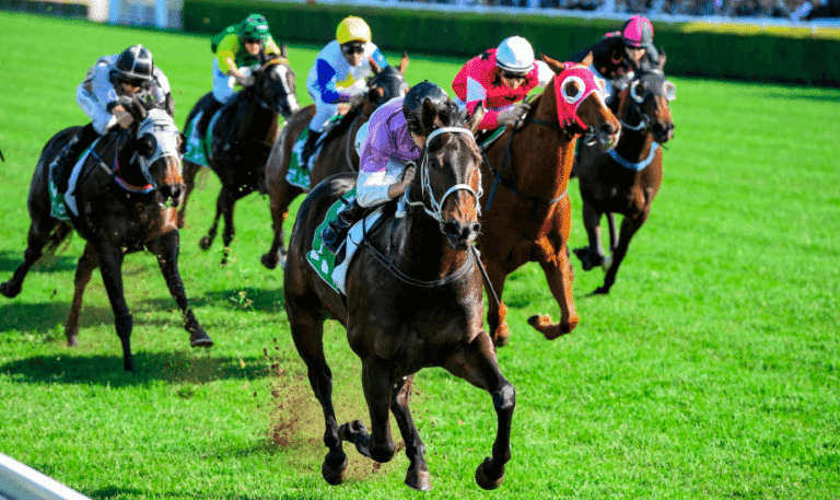 A Beginner's Guide to Understanding Horse Racing