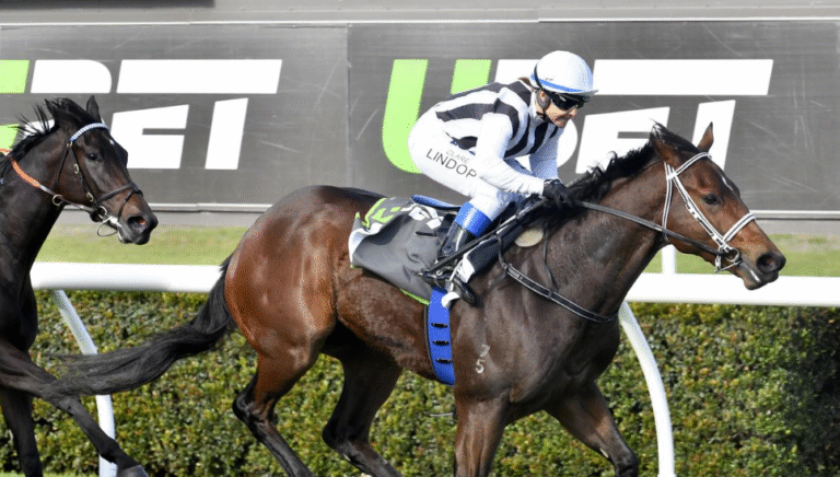 Behind the Scenes of a Major Horse Racing Event: What You Don’t See