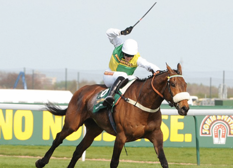Exploring the Role of Horse Racing Stewards and Their Impact on Fair Play