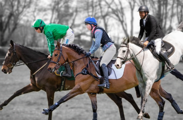 Horse Racing and Animal Welfare: What You Need to Know