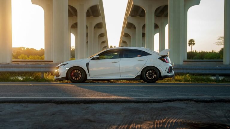 industry performance forecast report